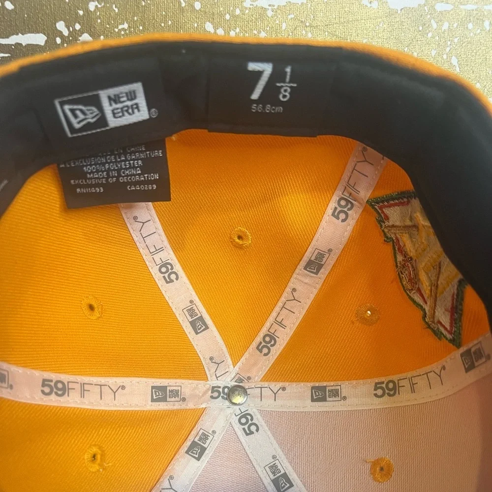 Anaheim Ducks 30th Anniversary hat
